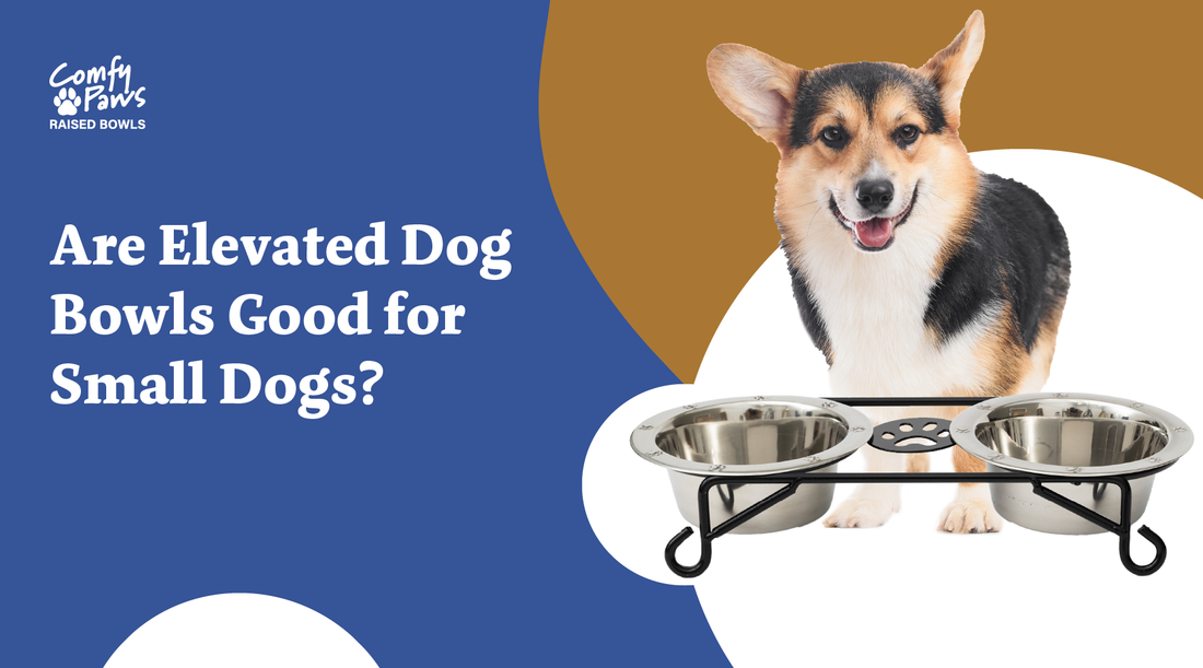 are elevated dog bowls good for small dogs