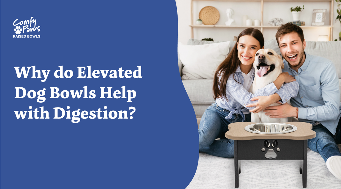 Why do elevated dog bowls help with digestion?