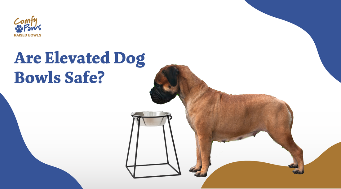 Are elevated dog bowls safe?