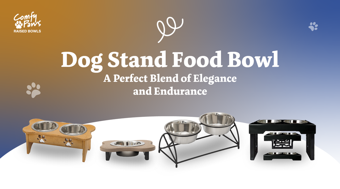 Dog Stand Food Bowl: A Perfect Blend of Elegance and Endurance