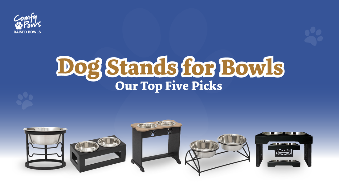 Dog Stands for Bowls: Our Top Five Picks