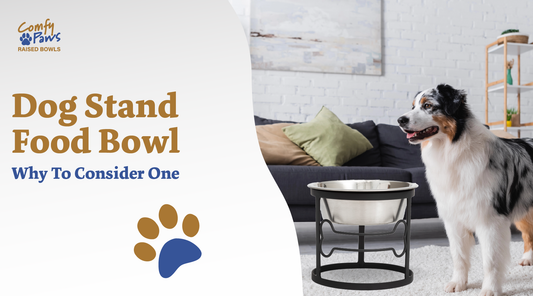 elevated stand for dog bowls: why to consider one