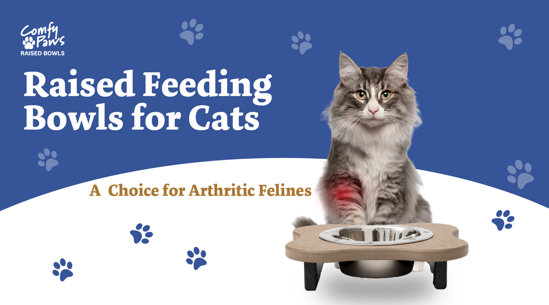 Raised Feeding Bowls for Cats: A Choice for Arthritic Felines