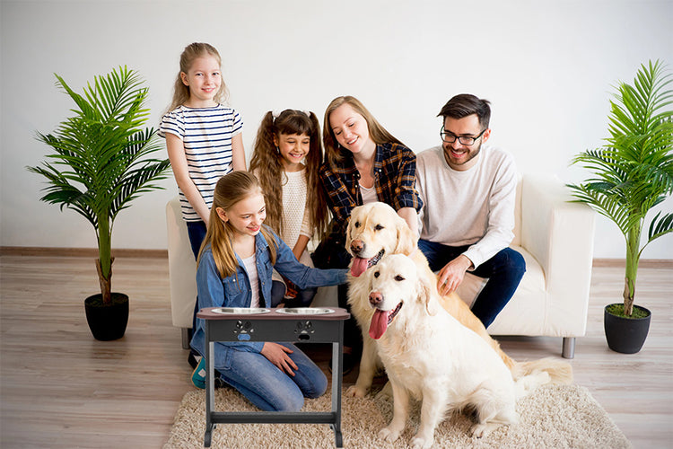 Elevated Dog Bowls for Large Dogs