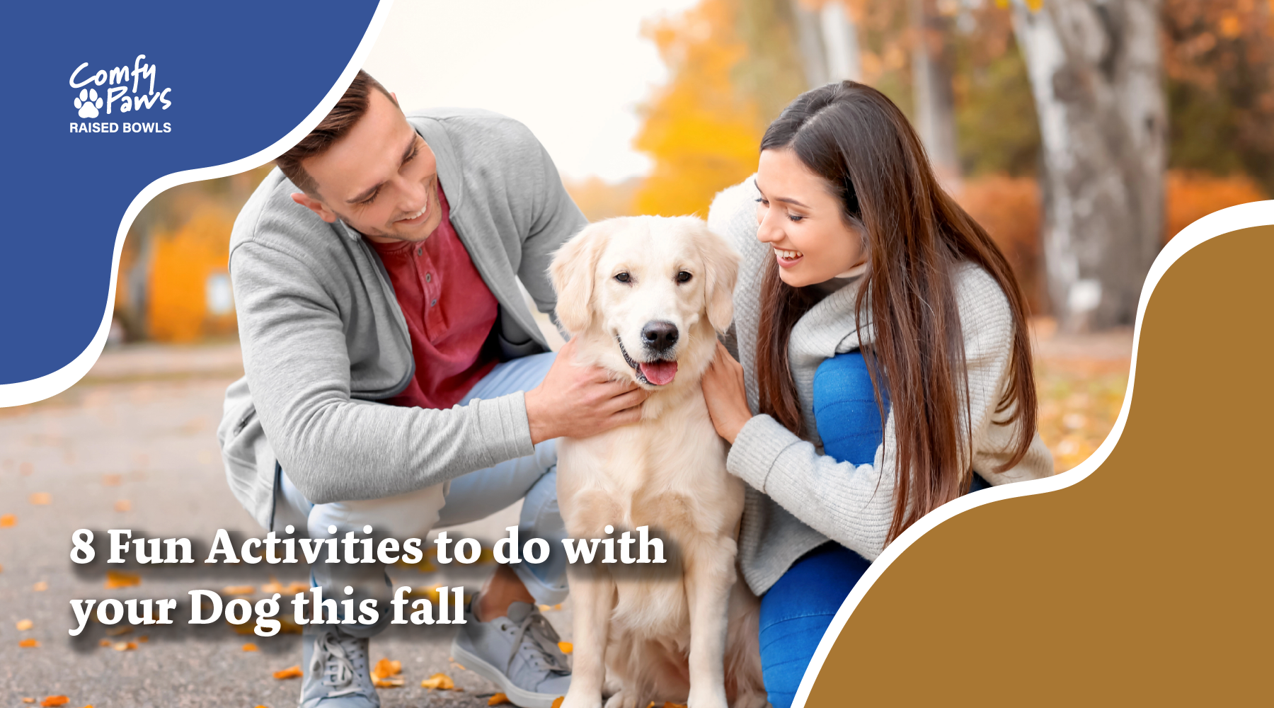 8 Fun Activities To Do With Your Dog This Fall 8 fun activities to do with your dog this fall