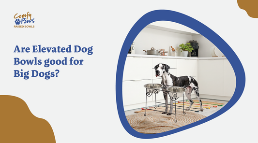 Are Elevated Dog Bowls Good for Big Dogs?