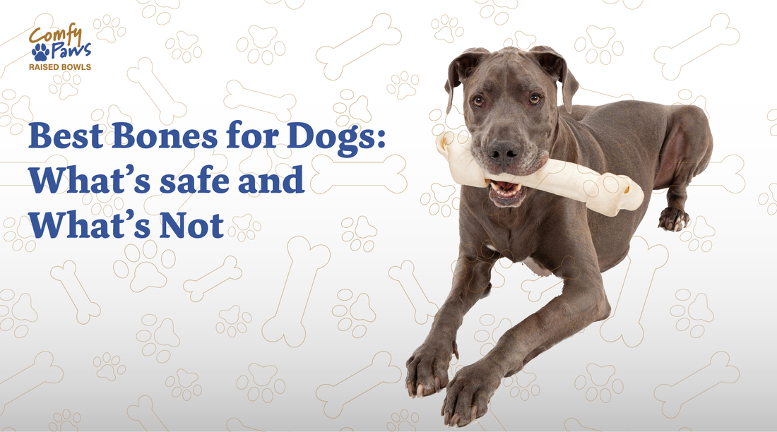 Best Bones For Dogs