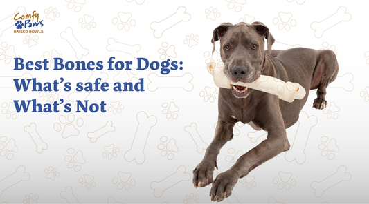 Best Bones For Dogs