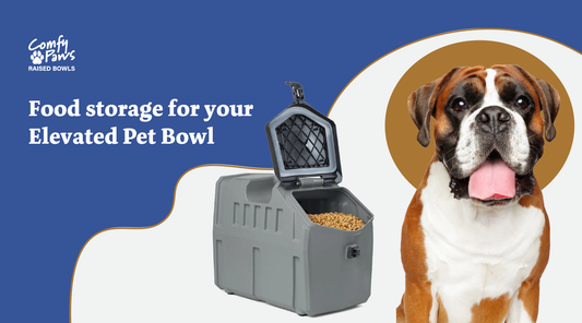 Best Food Storage for Your Elevated Pet Bowl