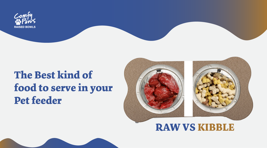 Best Kind of Dog Food to Serve In Your Pet Feeder