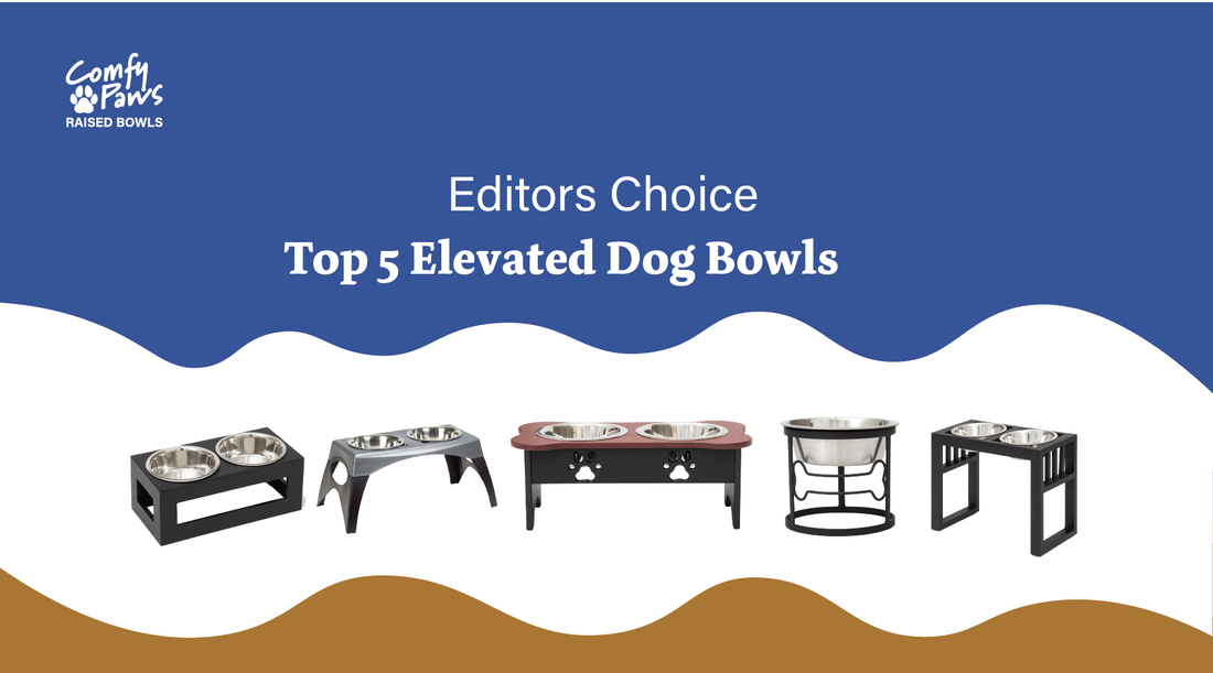 Editor’s Choice: Top Five Elevated Dog Bowls