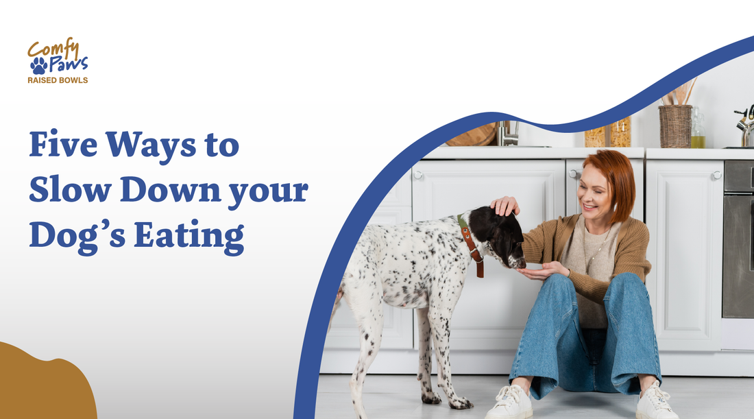 Five Ways To Slow Down Your Dog’s Eating