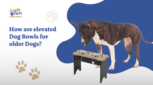 How Are Elevated Dog Bowls Better for Older Dogs?