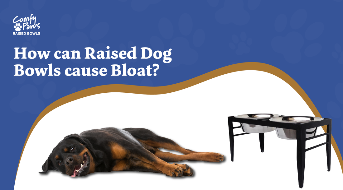 How Can Raised Dog Bowls Cause Bloat?