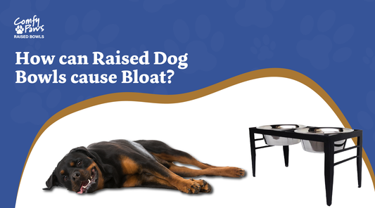 How Can Raised Dog Bowls Cause Bloat?