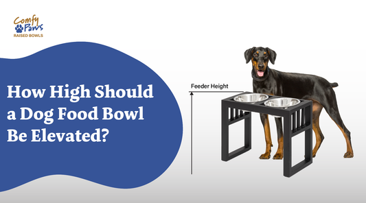 How High Should A Dog Food Bowl Be Elevated?