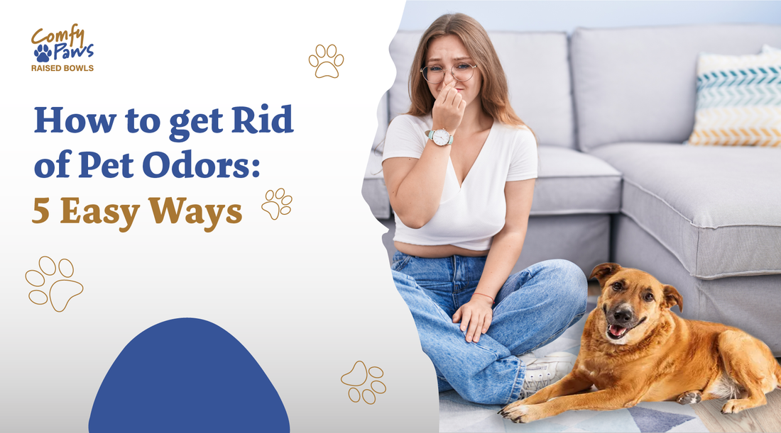 How To Get Rid Of Pet Odors