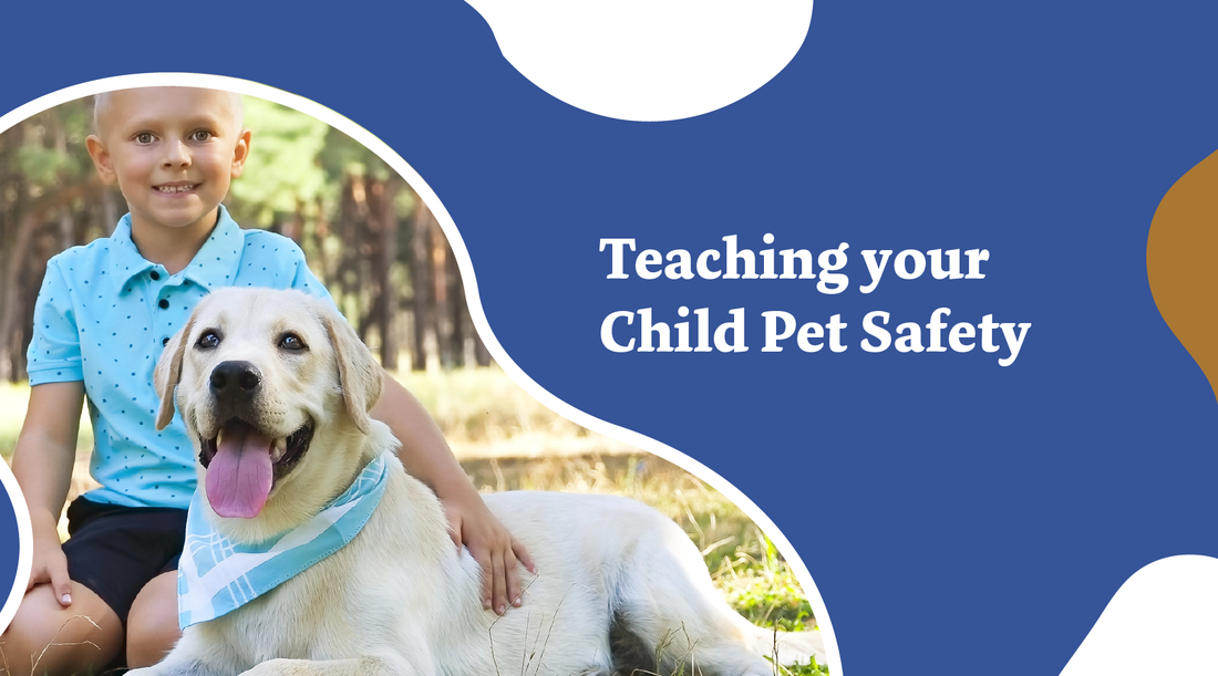 Teaching Your Child Pet Safety