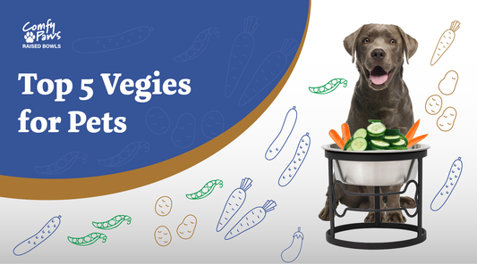 Top 5 Best Veggies For Pets