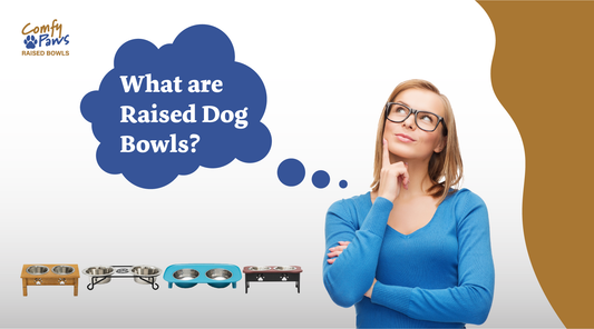 What Are Raised Dog Bowls For?