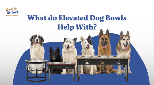 What do elevated dog bowls help with?
