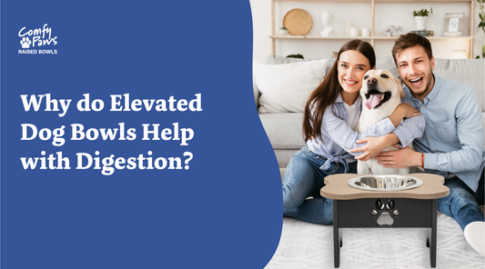 Why do elevated dog bowls help with digestion?