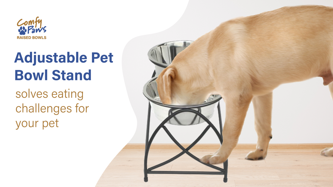 Adjustable Dog Bowl Stand Solves Eating Challenges for Pets