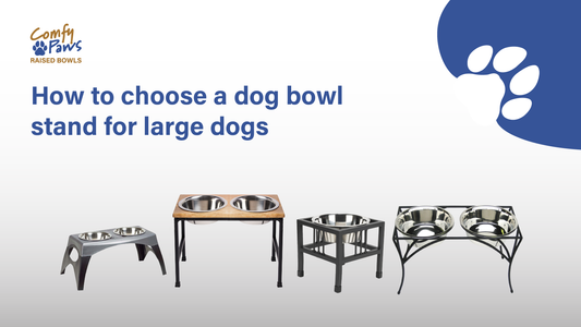 Dog Bowl Stand for Large Dogs: How to Choose the Ideal Height