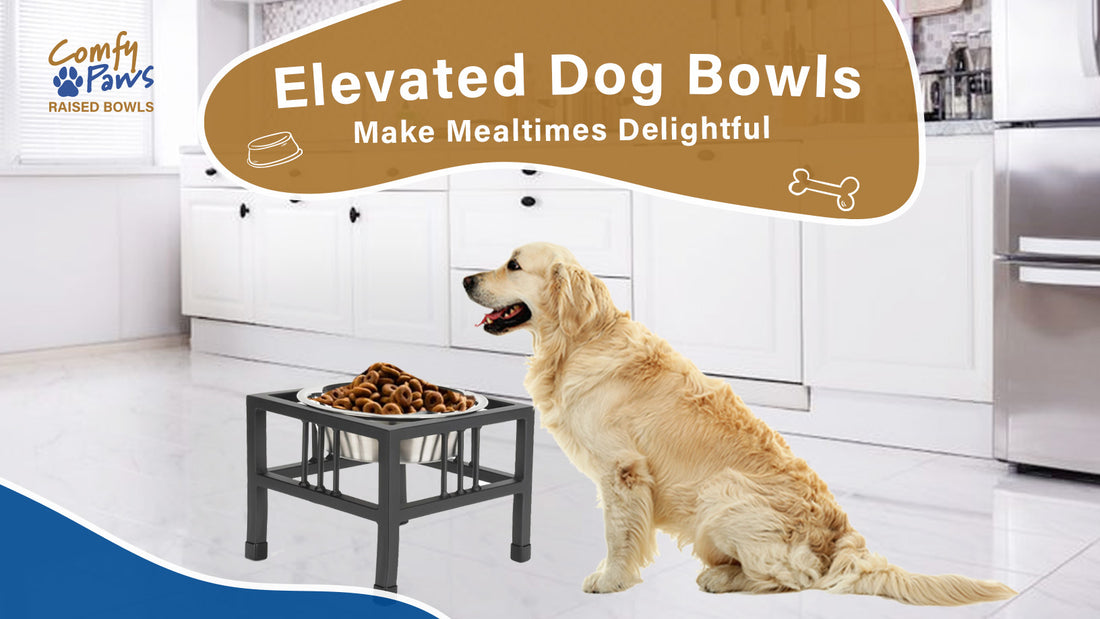 Elevated Dog Bowls - Make Mealtimes Delightful