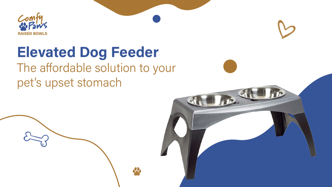 Elevated Dog Feeder: The Affordable Solution to Your Pet’s Upset Stomach