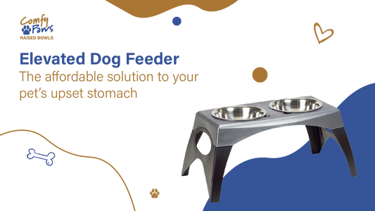 Elevated Dog Feeder: The Affordable Solution to Your Pet’s Upset Stomach