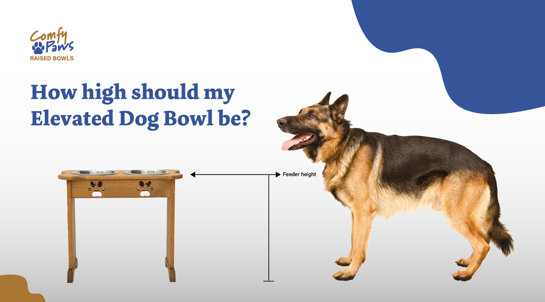 How High Should My Elevated Dog Bowl Be?