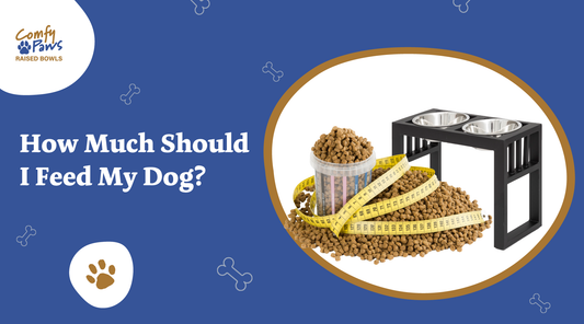 How Much Should I Feed My Dog?