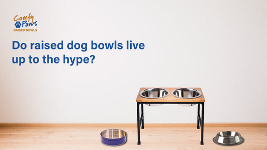 Do Raised Dog Bowls Live Up to the Hype?