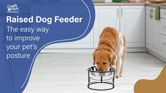 Raised Dog Feeder - The Easy Way to Improve Your Pet's Posture