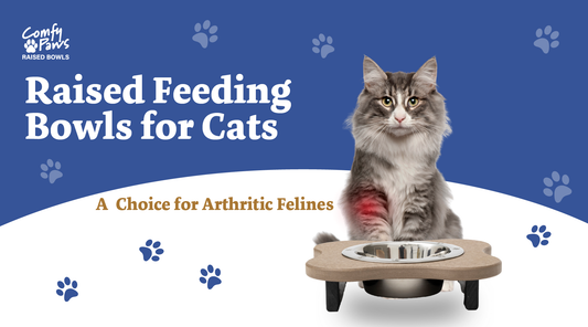 Raised Feeding Bowls for Cats: A  Choice for Arthritic Felines