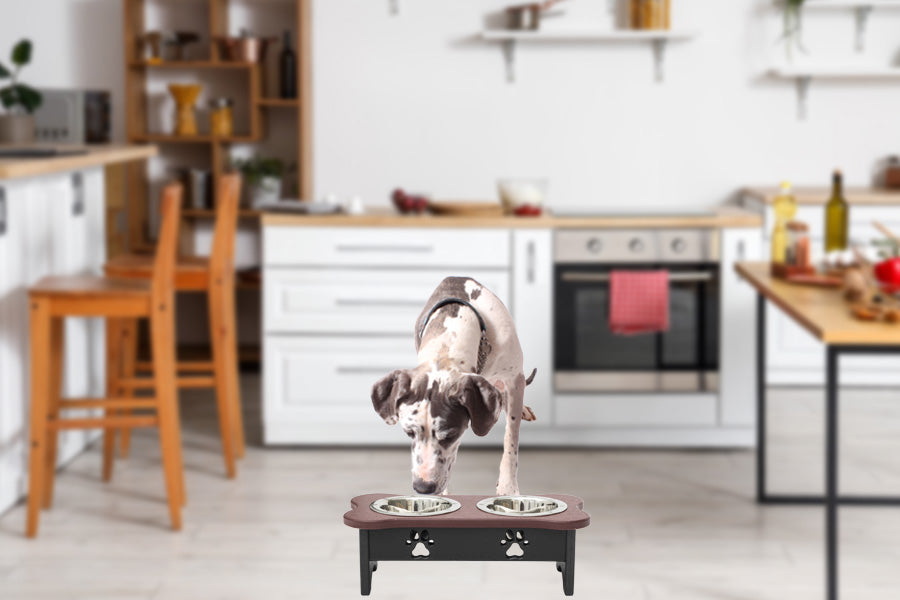 Double Elevated Dog Bowls