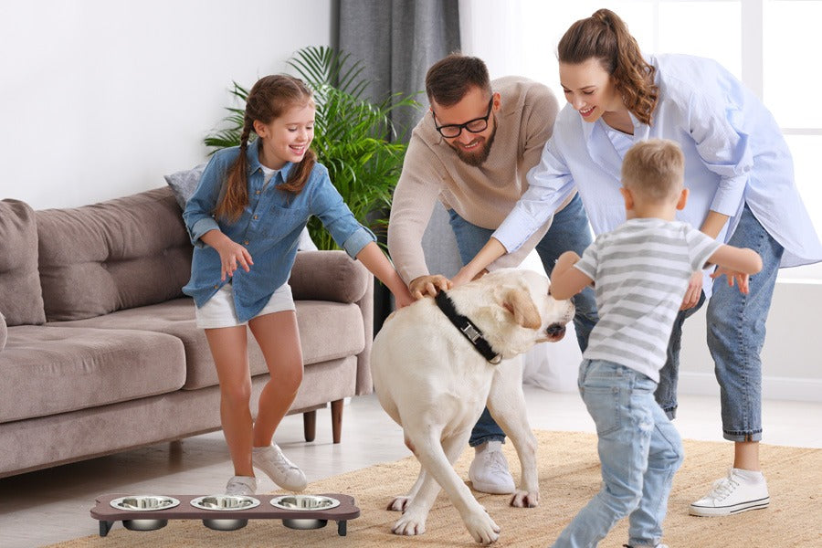 Triple Elevated Dog Bowls